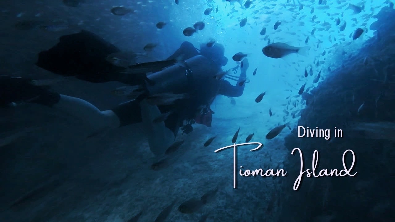 Tioman Island | Turquoise Waters & Beautiful Coral Reefs | MALAYSIA DIVING VLOG 🇲🇾 (Part I)