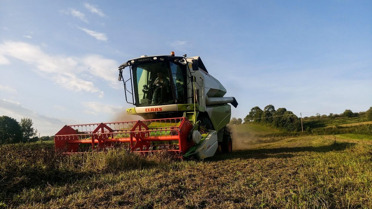 Koniczyna Na Ziarno 2017 - RSP Skorczyce - Clover Harvest 2017