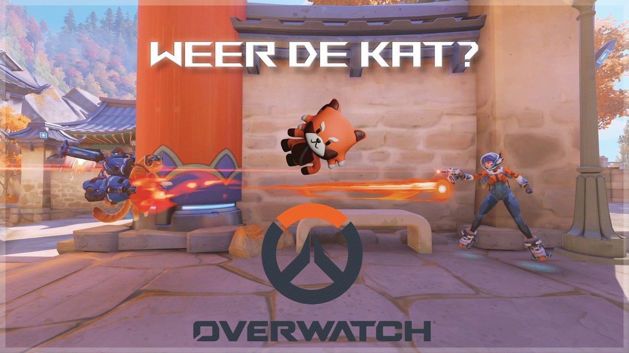 Word het iets anders dan de kat?