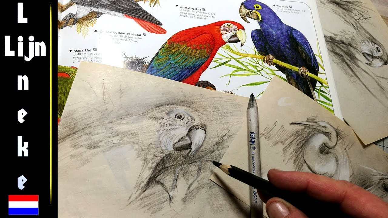 SCHETS TECHNIEK Lineke LIVE tekening in 3 stappen