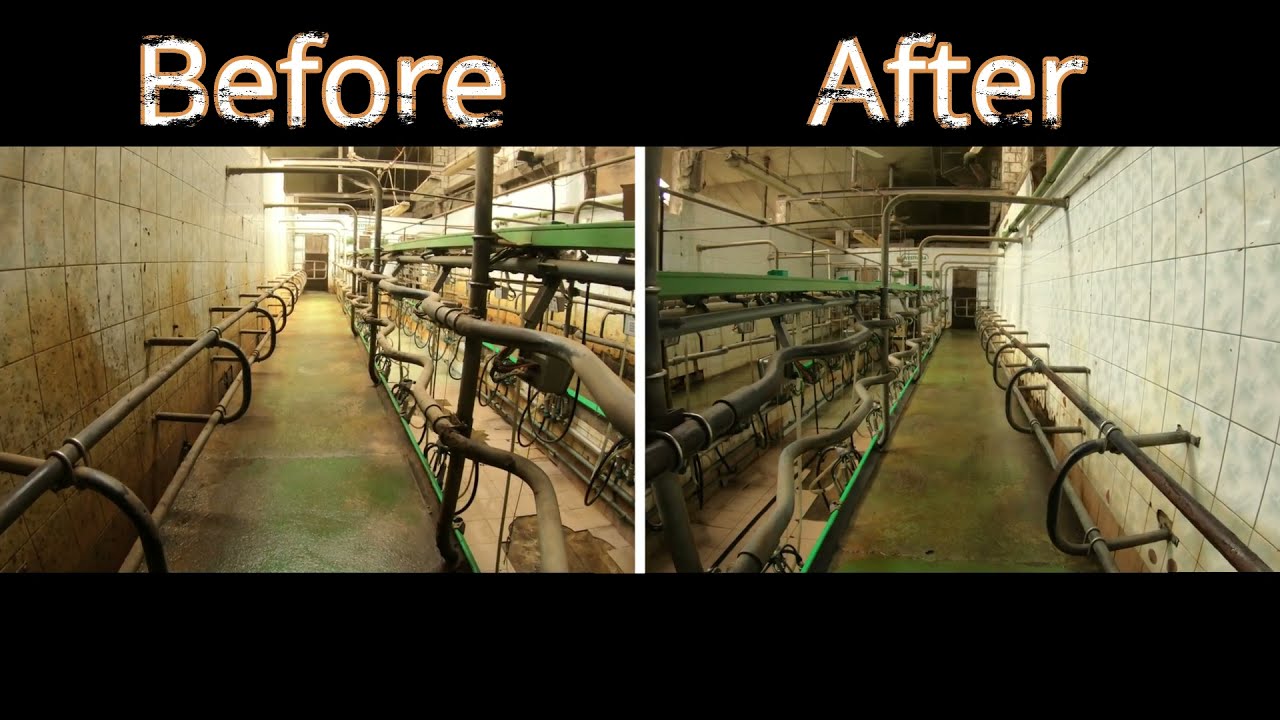 Pressure Washing Parlour | Mycie hali udojowej | Rybia ość - 2 x 12
