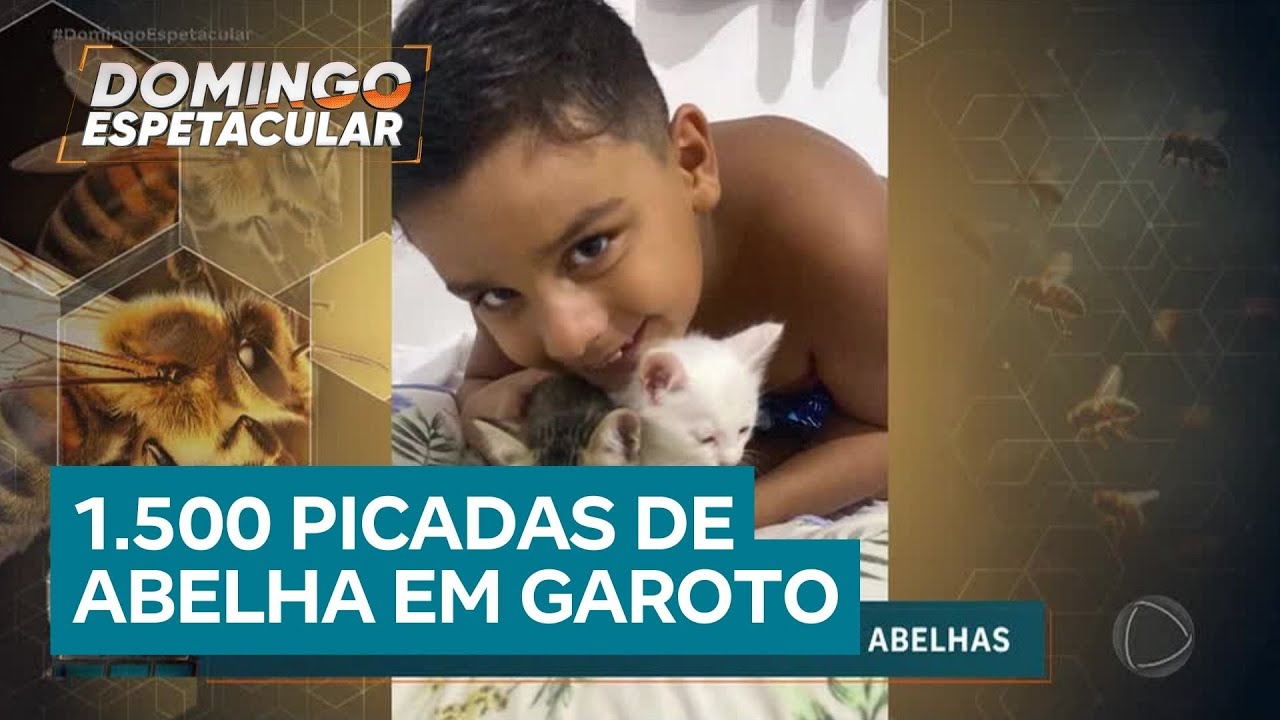 Abelhas atacam e matam menino de 9 anos em Catalão (GO) durante resgate de filhote