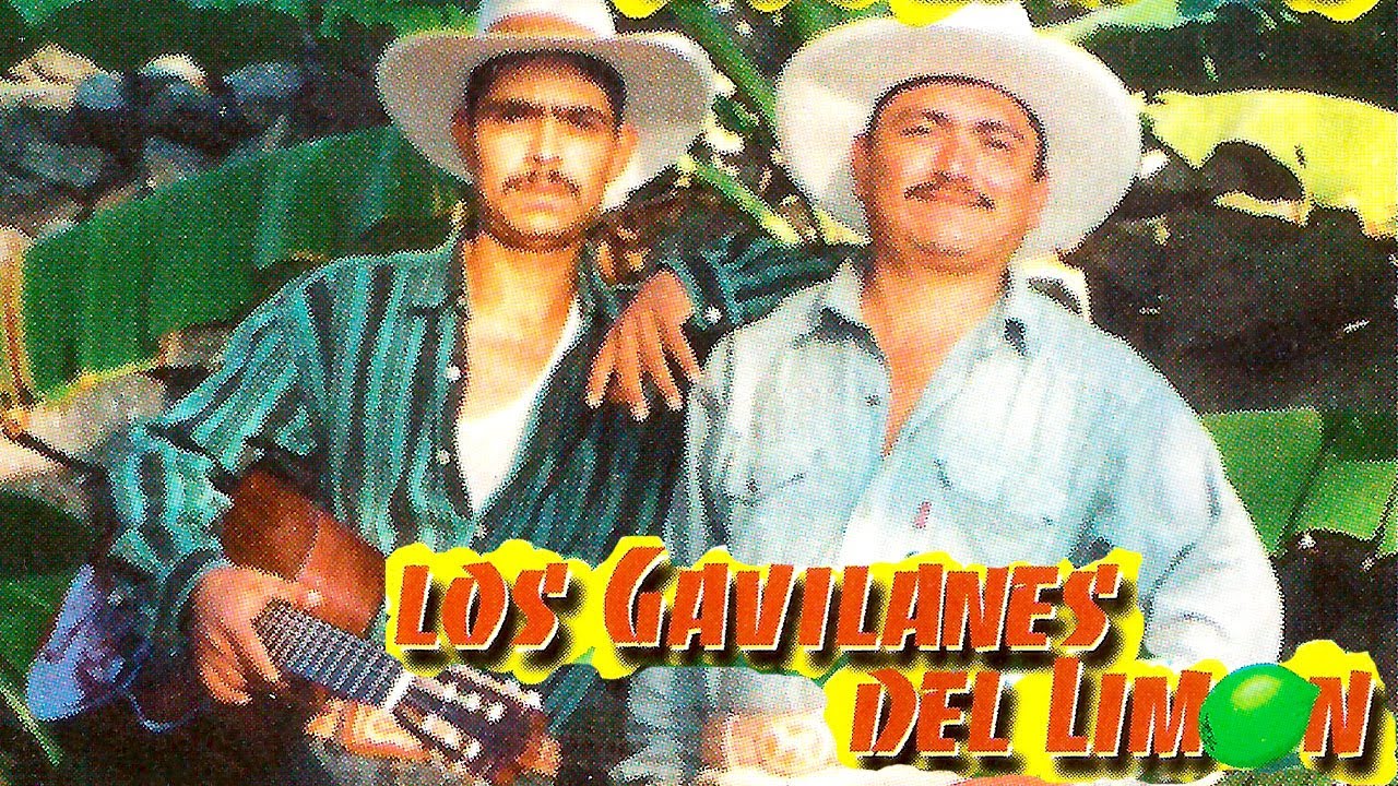 Dueto Los Gavilanes Del Limon - Linda Princesa (Album Completo)