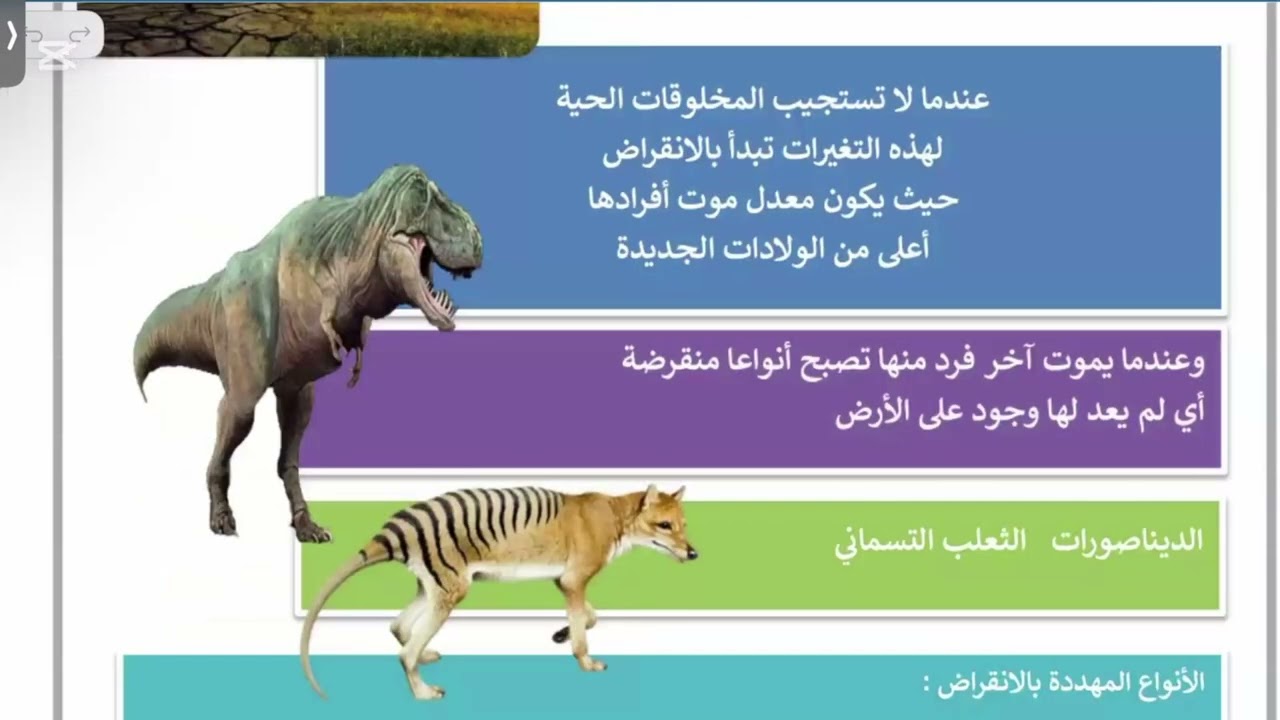 التغيرات في الأنظمة البيئية علوم خامس الترم الاول