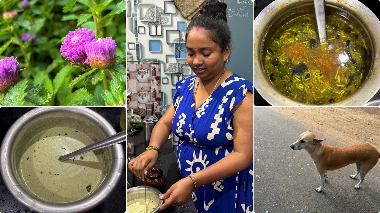 ⛅️Fresh Morning🍃ll My Lunch Box🍛ll Green Coconut Chutney😋#tharikavlogs #trending #youtube 