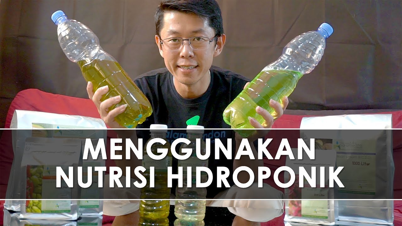 Cara Menggunakan Nutrisi Hidroponik