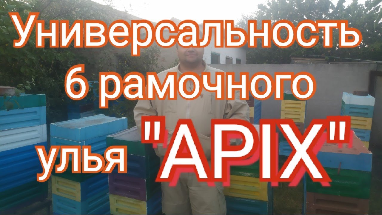 Улей 