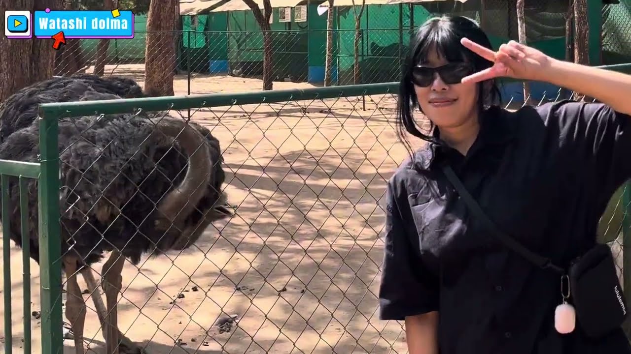 VALENTINE DAY SPECIAL 💀||tibetan vlogger||Bylakuppee||