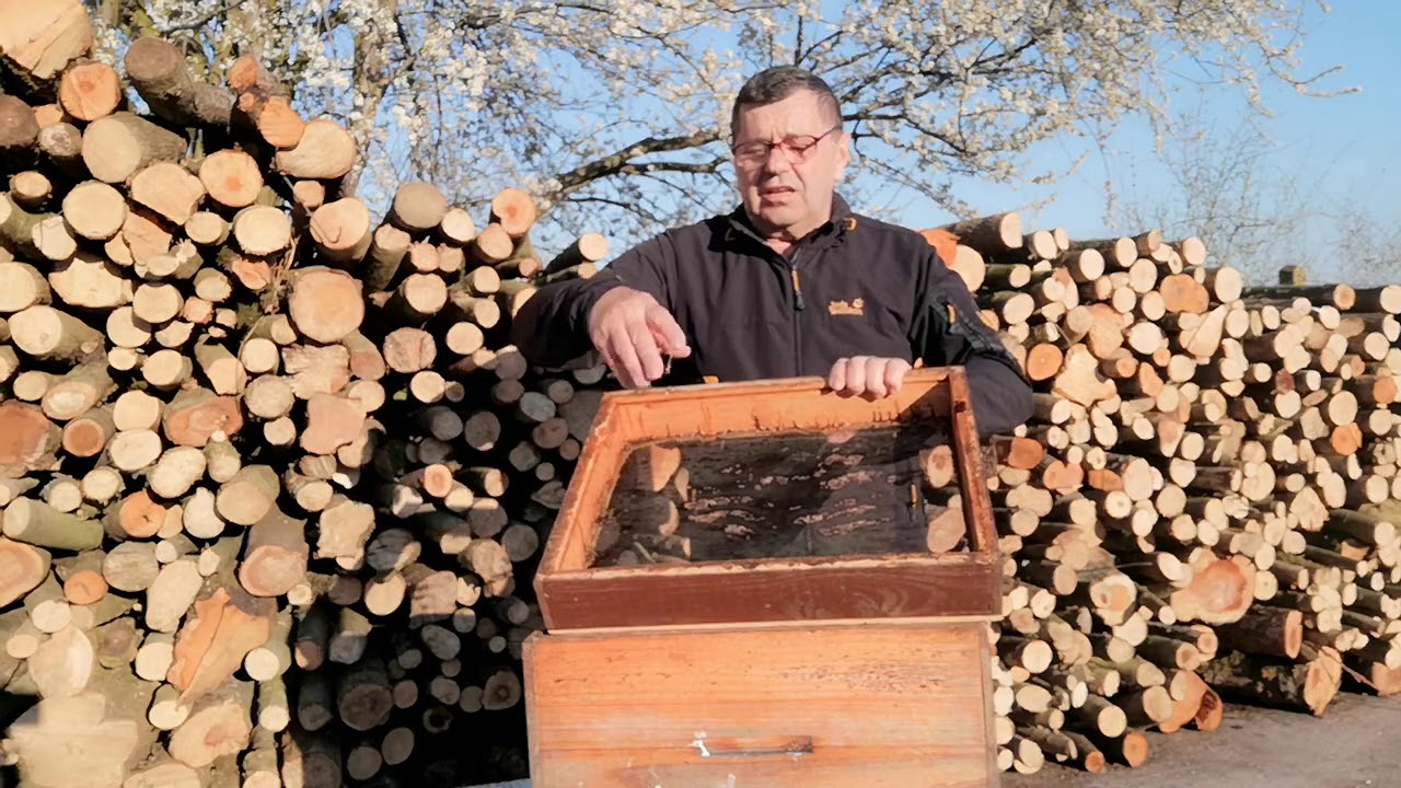 SPASAVAJTE PCELE DOK NIJE KASNO. 13.03.2021.