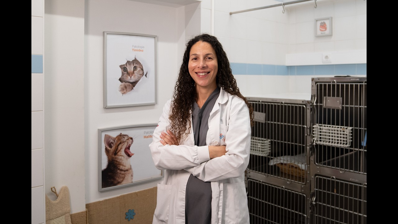 OneVet Group l Otites em Gatos