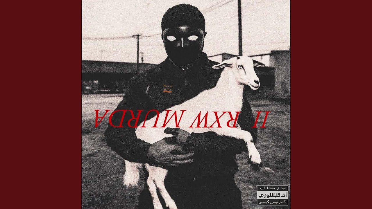 All U Need (feat. Lil GullyBoi)