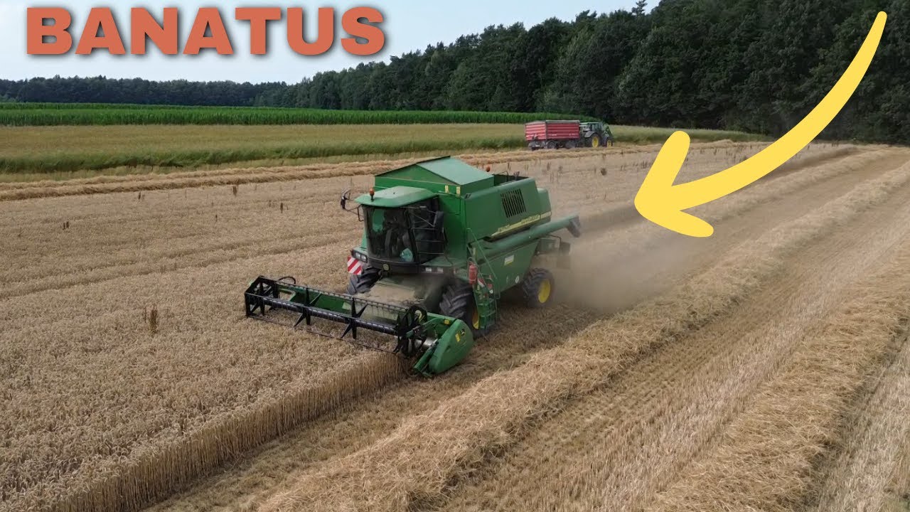 Żniwa 2024⭐Pszenica Banatus ⭐John Deere 1450 CWS⭐ John Deere 6330⭐