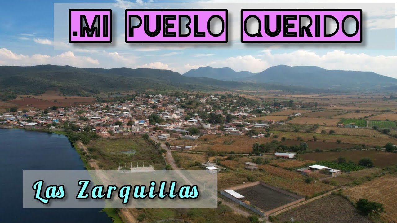 Así se miran Las Zarquillas con sus parcelas antes de cosechar ¡Bien a todo dar! @cotidiano399