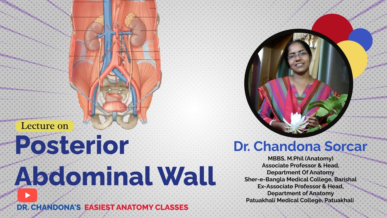 Lecture On Posterior abdominal wall