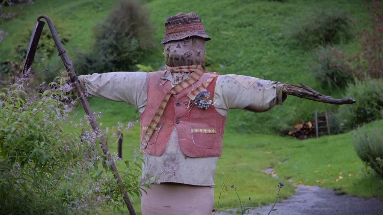 New Zealand Grand Pacific Tours with Scotty The Travelling Guy