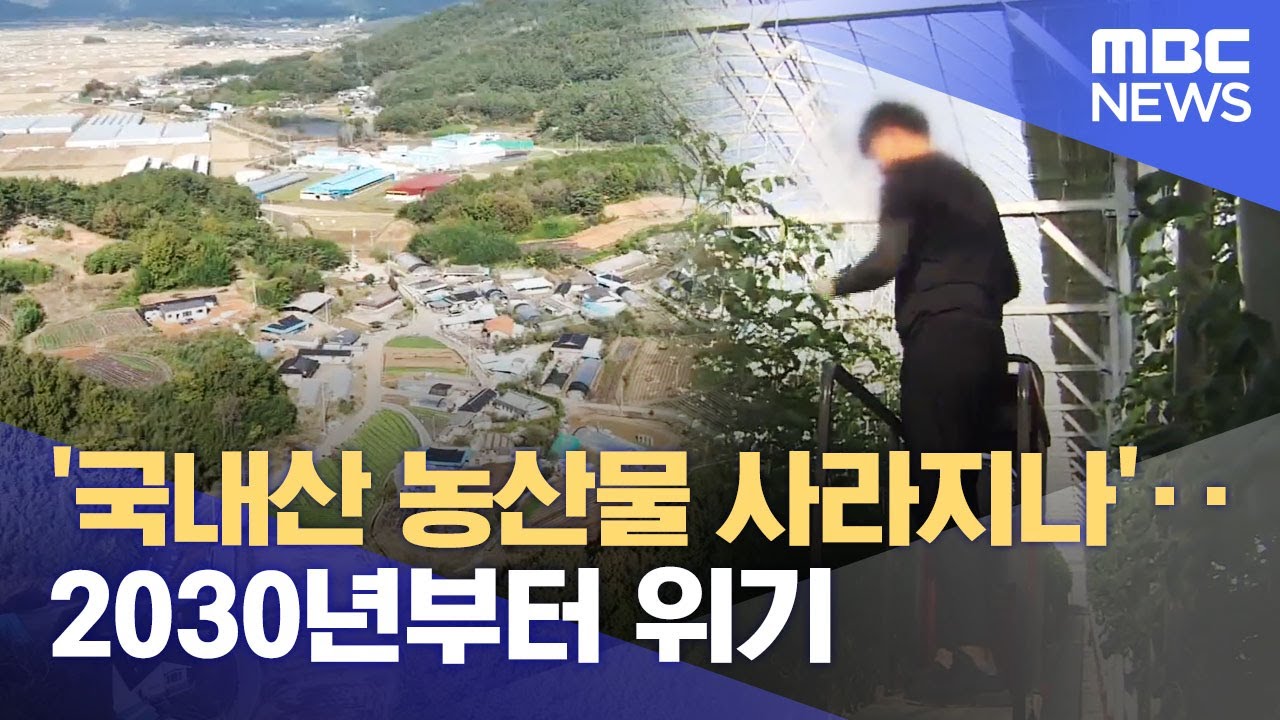 &lsquo;국내산 농산물 사라지나&rsquo;‥ 2030년부터 위기 (2023.11.16/뉴스데스크/광주MBC)
