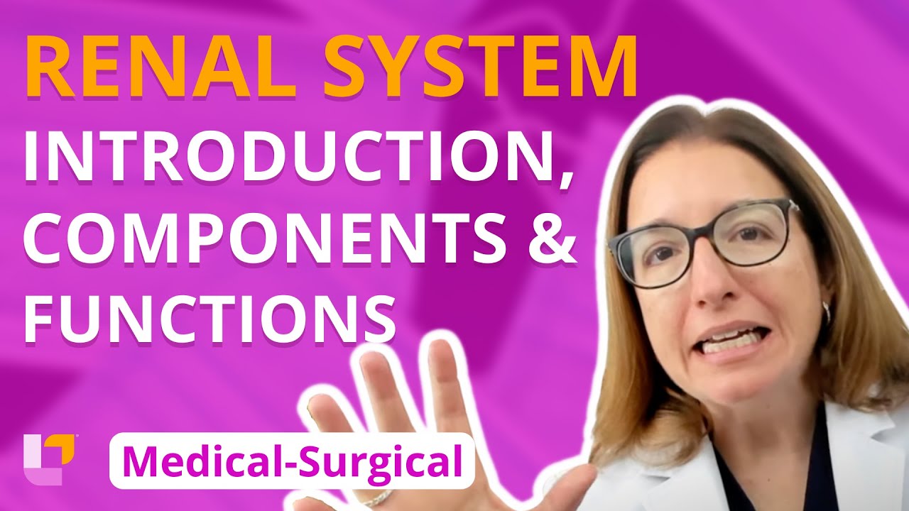 Introduction, Components and Functions - Medical-Surgical - Renal System | @LevelUpRN