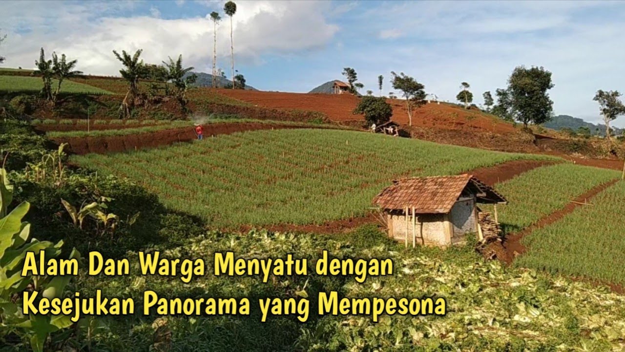Keindahan Alam Jawa Barat Dan Aktivitas Masyarakat Di Perkebunan