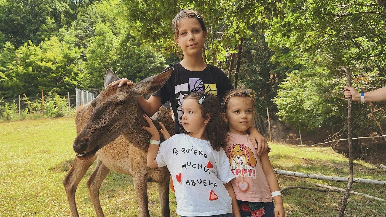Zooparc Green Codru