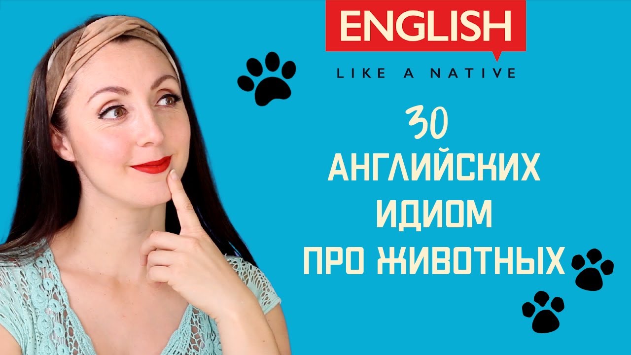 30 идиом с названиями животных – Популярные английские идиомы с переводом
