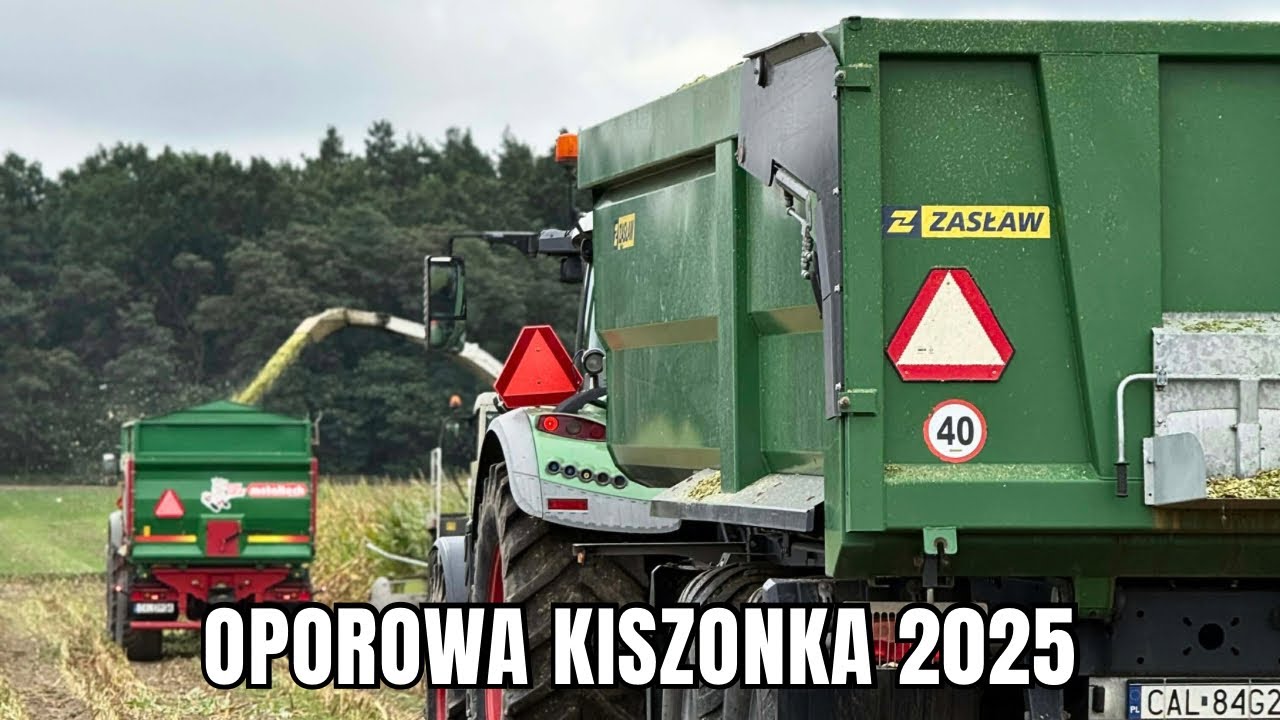 🇵🇱Kukurydza na kiszonkę w Gospodarstwie Rolnym Milcarek🇵🇱