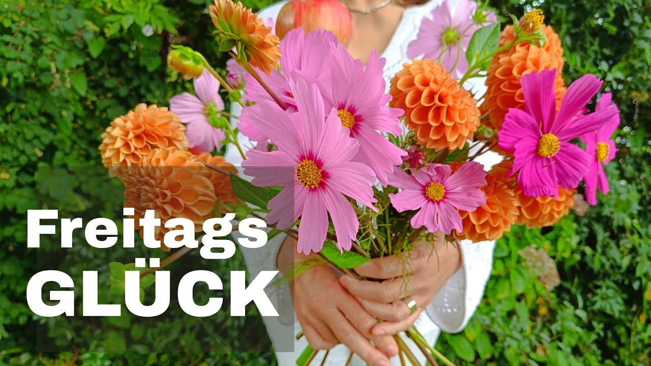 Markt, Blumen & Septembermomente 🌼 | Wenn ich ein Monat wär …