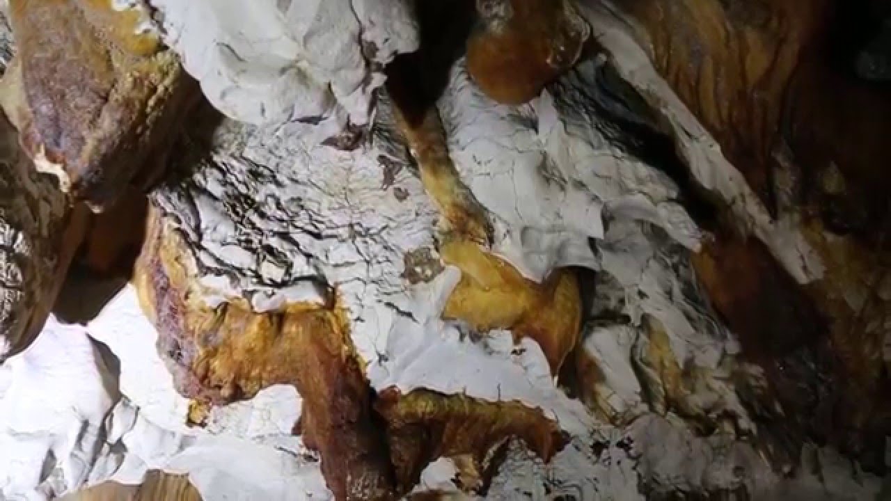 Découverte de la Grotte de Thaïs à Saint Nazaire en Royans