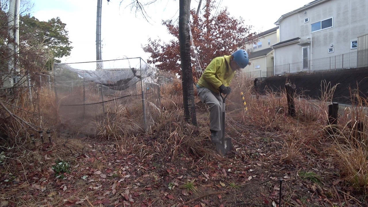 Nature Wonderland; digging out unwanted grass and looking for the border marker 20260211