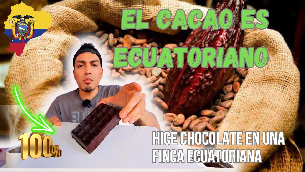Trabajando en una finca de cacao en Ecuador ￼