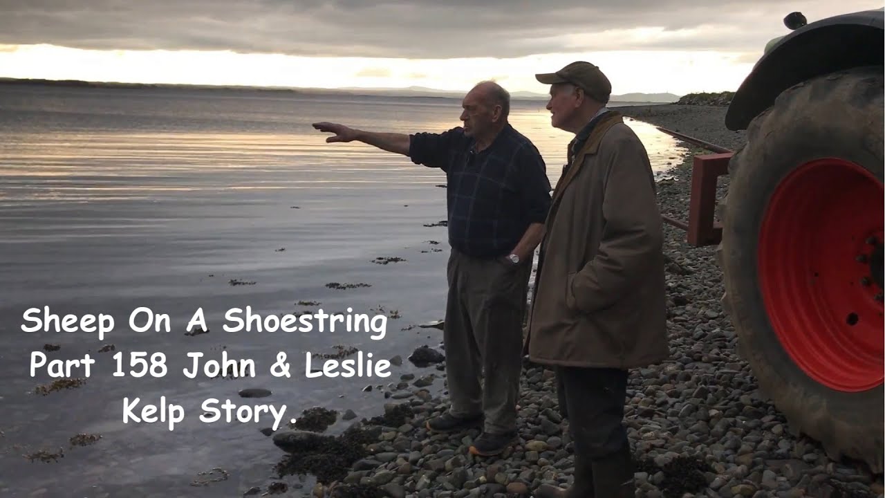 Sheep On A Shoestring Part 158. John & Leslie Kelp story