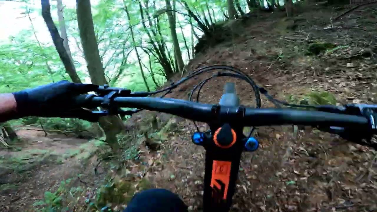 Gwydir and Marin off piste trails conwy mountain biking (raw)
