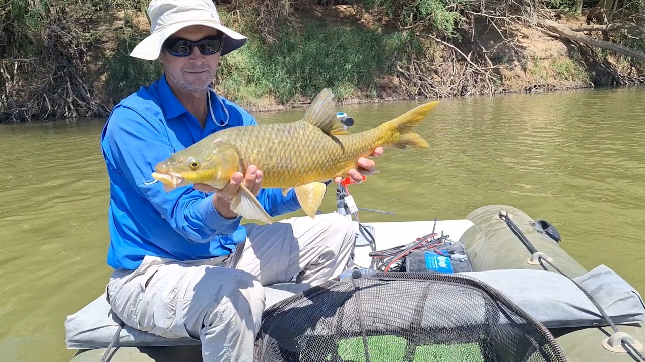 Fly fishing on the Orange river , Vlieg hengel op die Orange rivier