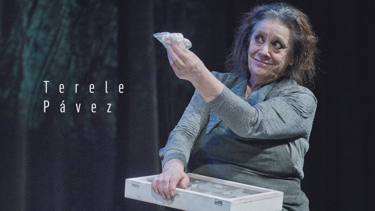 Homenaje a Terele Pávez