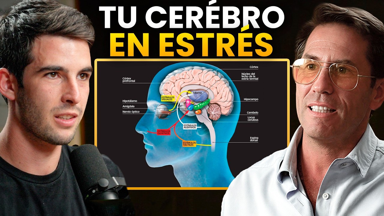 “He estado 1 mes sin usar el Móvil” Así ha Mejorado mi Cerebro