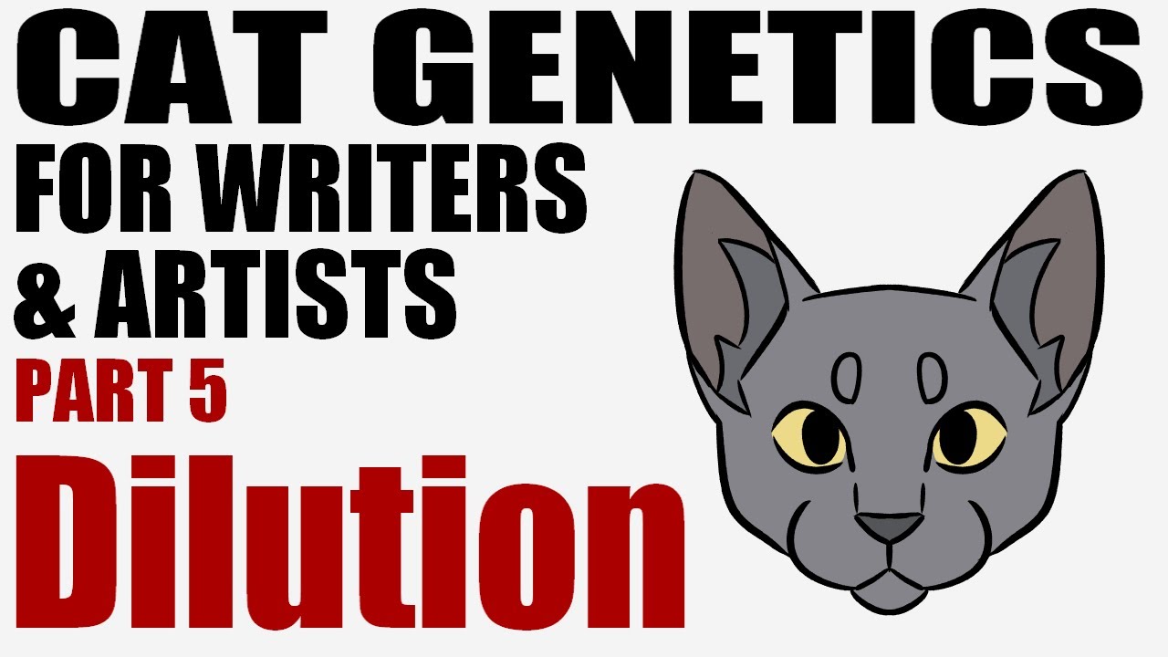 Cat Genetics for Writers & Artists part 5: Dilution [CC]