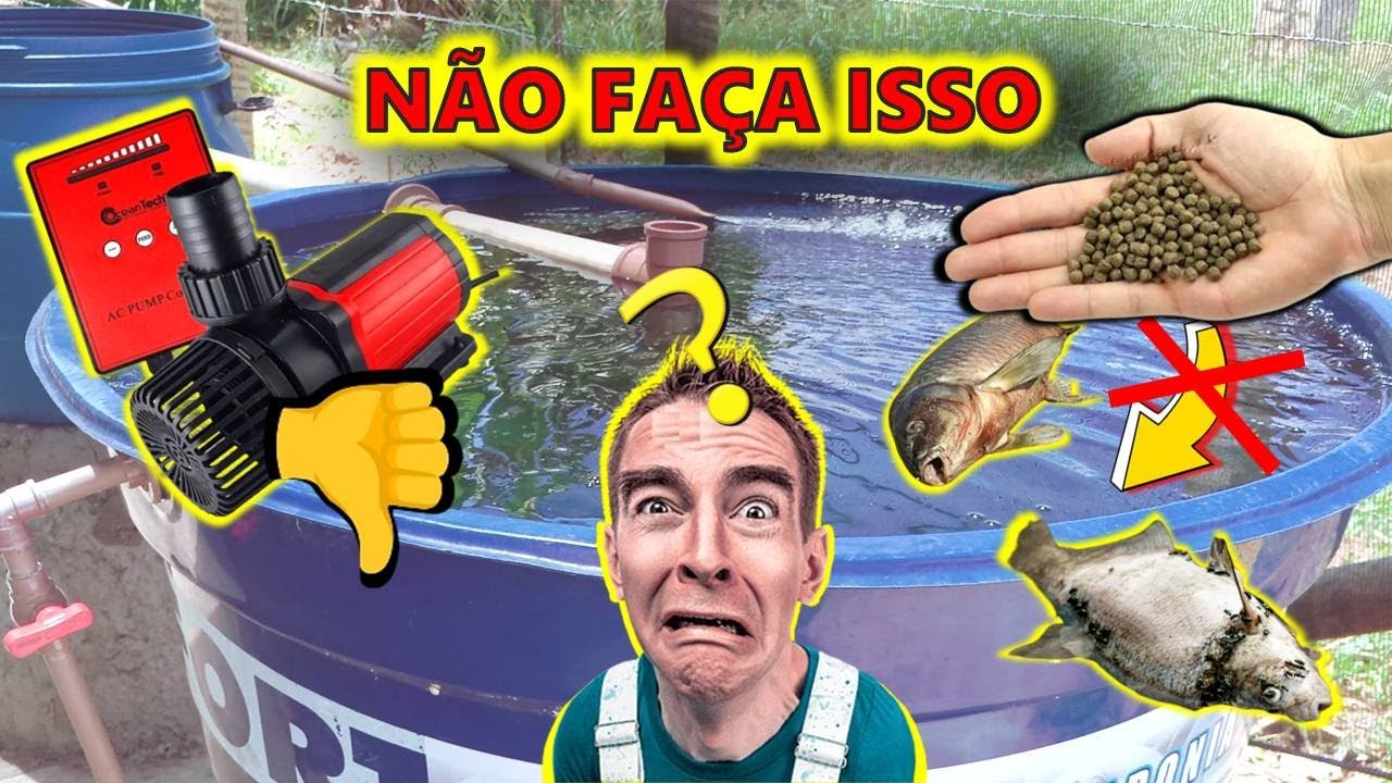 🐟 Os 6 PIORES ERROS na CRIA&Ccedil;&Atilde;O DE PEIXES em CAIXA D'&Aacute;GUA