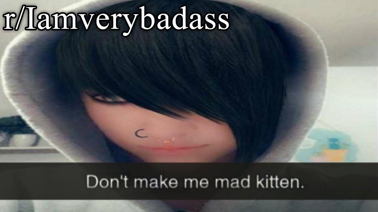 r/Iamverybadass | Не зли меня, котенок