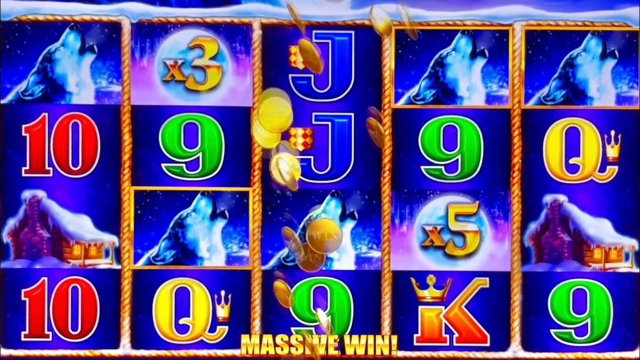 INCREDIBLE WINS ON TIMBERWOLF GOLD #slotman #casino #jackpot 