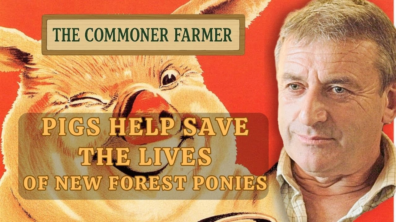How Pigs Help Save Ponies - The Commoner Farmer