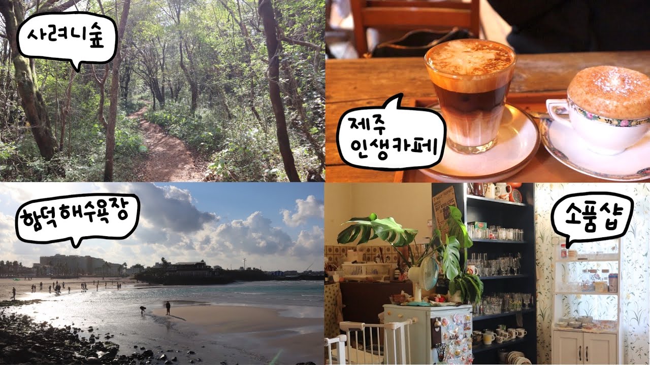 제주에서 신선놀음하기 | 제주 인생카페, 커피 맛집 5L2F | 제주 태국음식 | 사려니숲길 | 제주 소품샵 만두상점