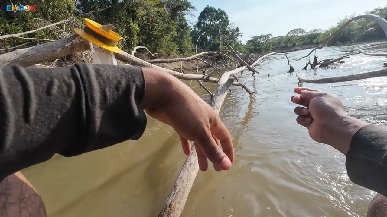 🎣Pesca de MIJE (BOGA) GIGANTE🐟🐟 en Rio PORTUGUESA🛶, Mucha FUERZA💪💪!!