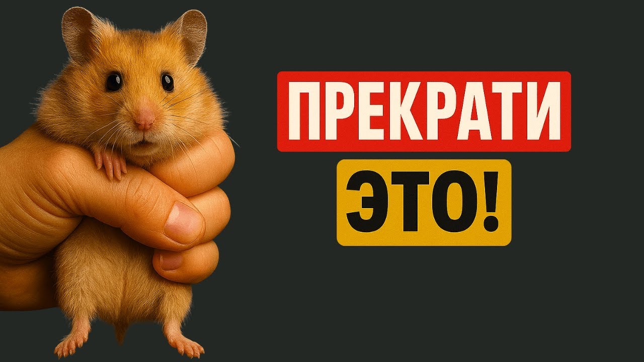 16 вещей, которые КАЛЕЧАТ хомяков | Об этом нужно знать до покупки!