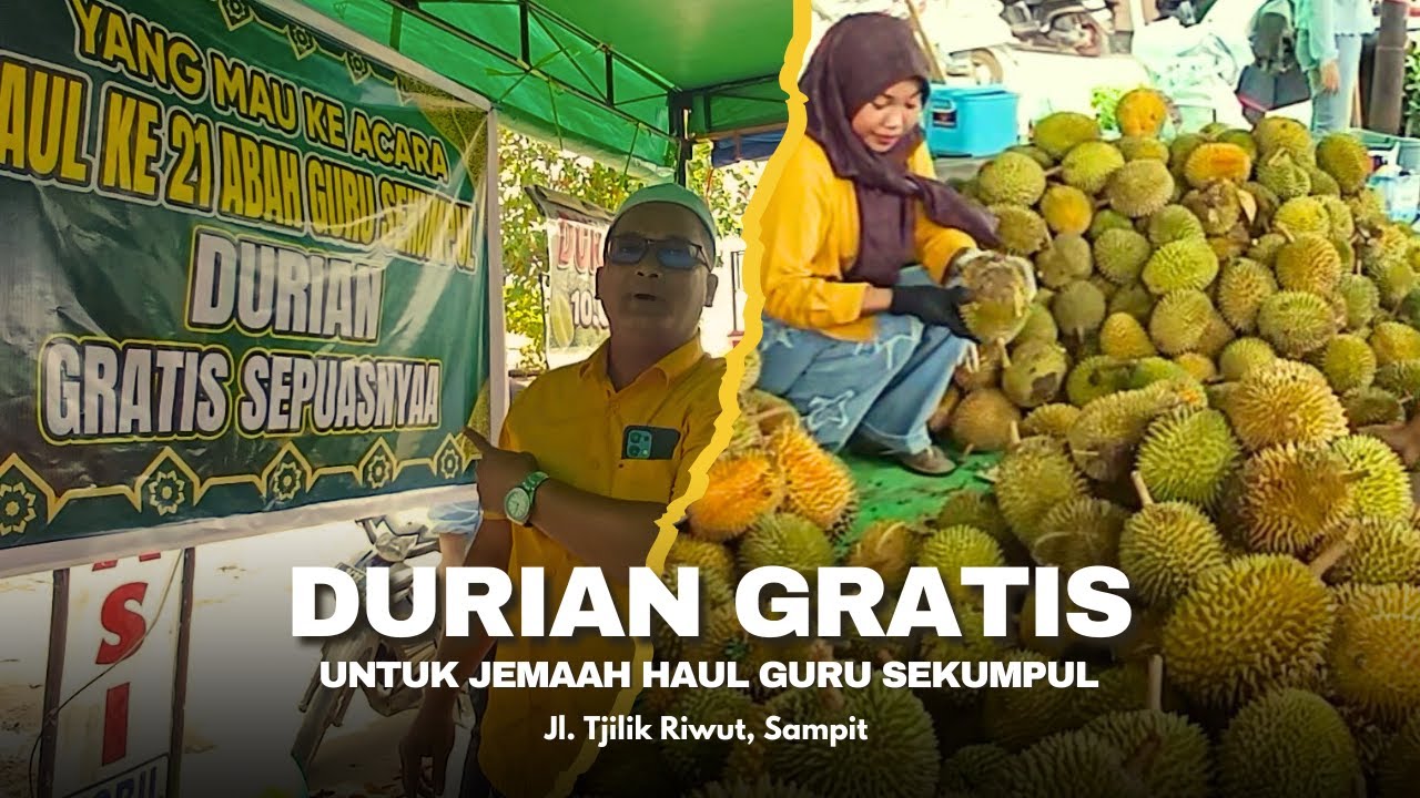 Durian Gratis di Sampit untuk Jemaah Haul Guru Sekumpul