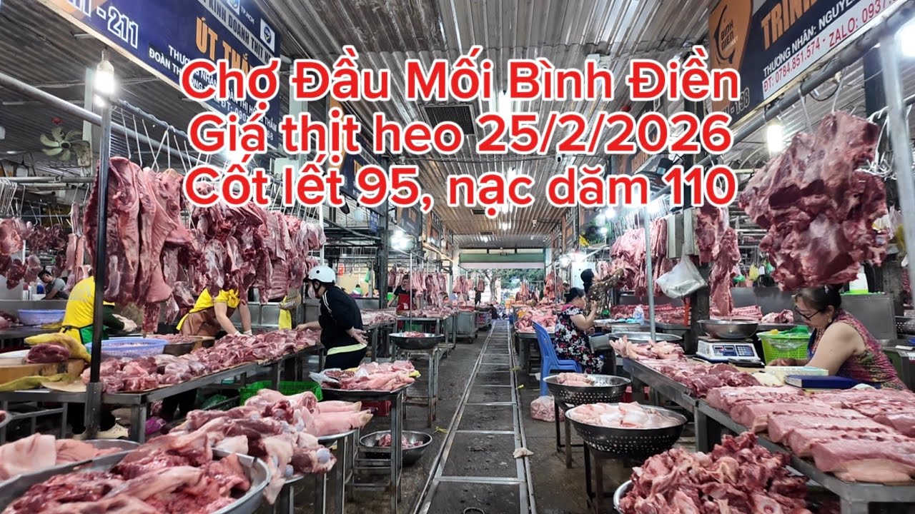 Giá thịt heo Chợ Đầu Mối Bình Điền cốt lết 95 nạc dăm 110 ngày 25/2/2026