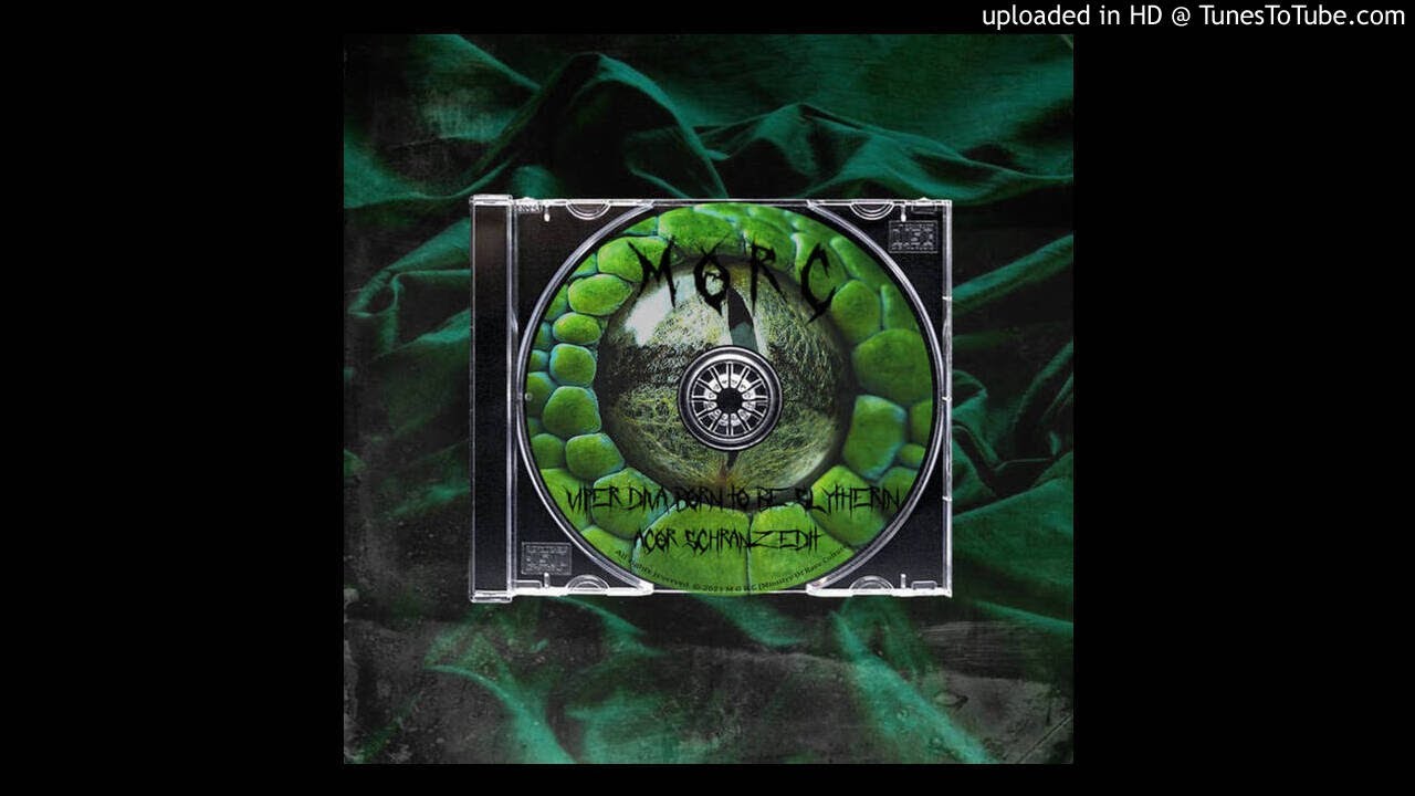 Viper Diva - Born To Be Slytherin (AcoR Schranz Edit)