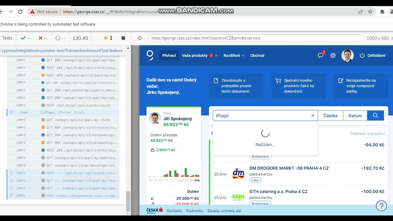 Javascript, Cypress : Transaction amount tests