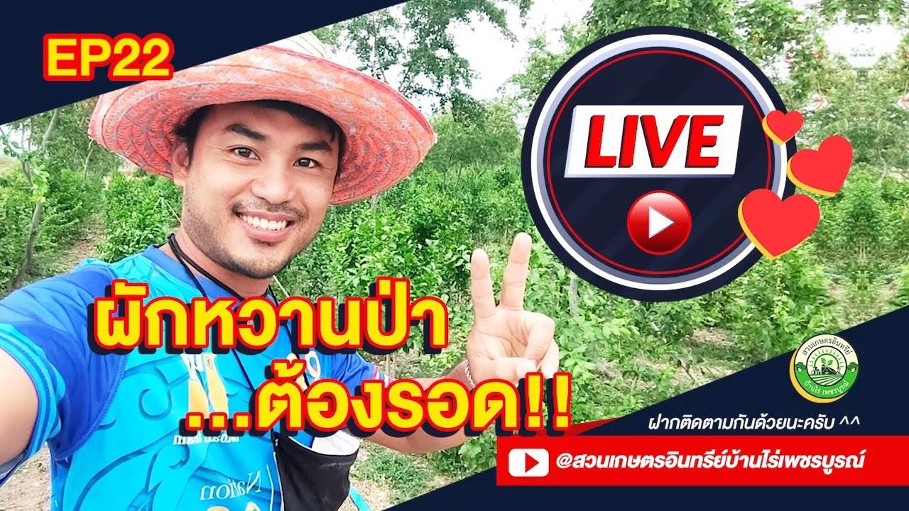 ผักหวานป่า...ต้องรอด Live EP22