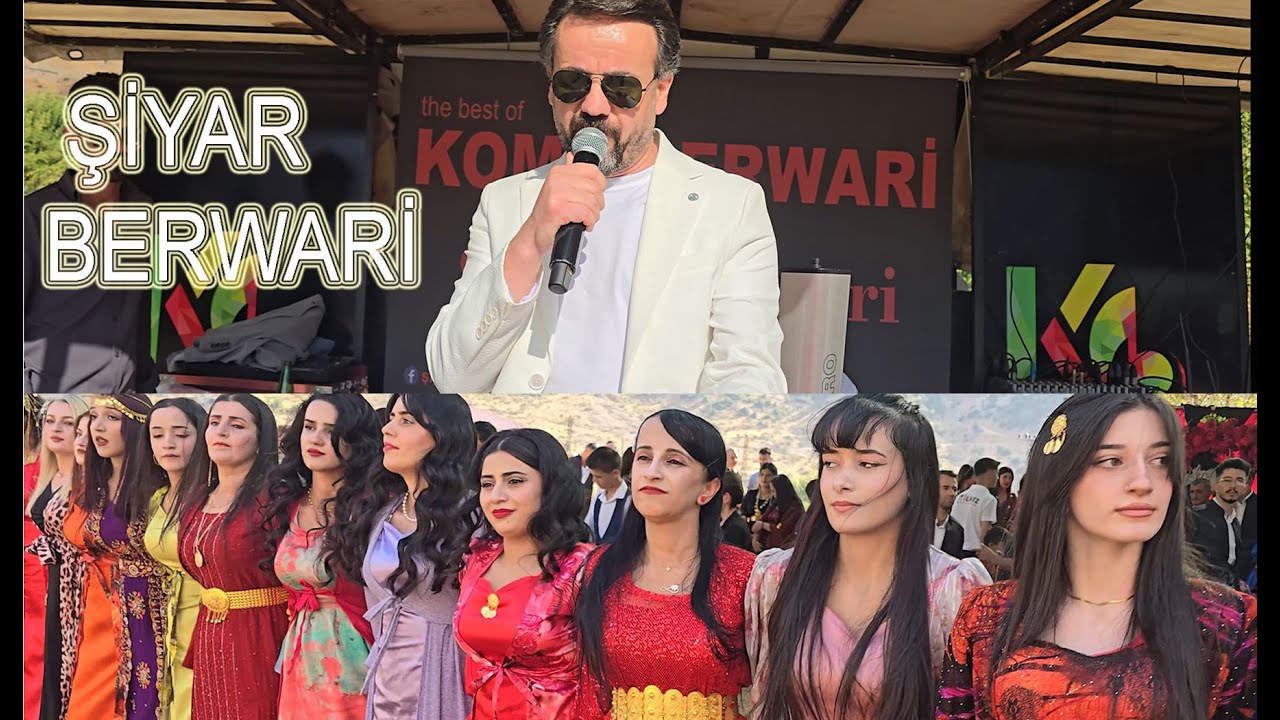 Şiyar Berwari 2024 - Şade Leylo Yeni Halay Sergen & Gülşah düğünü Andaç