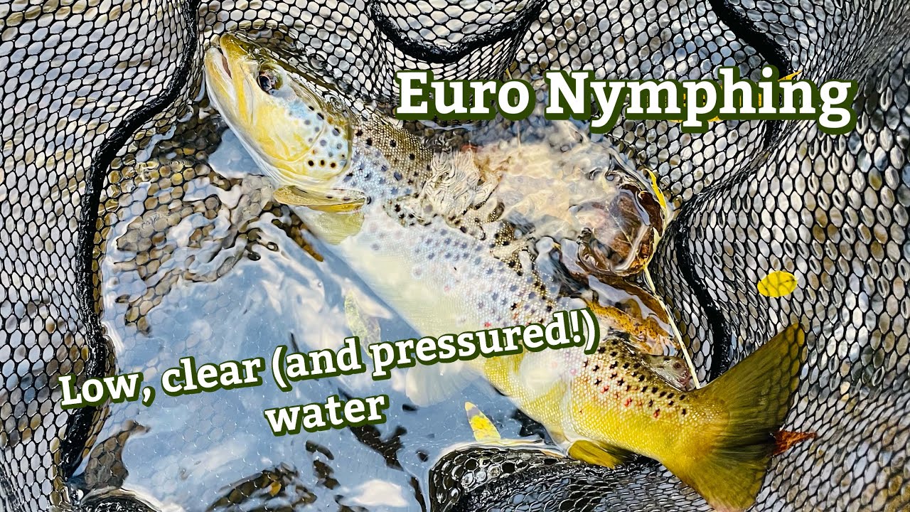EURO NYMPHING low, clear and pressured water