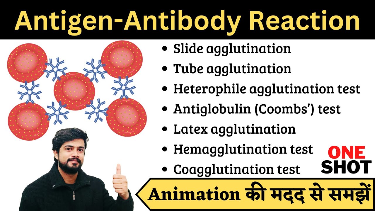 Antigen Antibody Reaction Microbiology in Hindi | Interaction | Types | Animation |  BMLT | DMLT